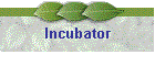 Incubator